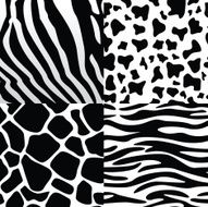 Pattern Collection N4
