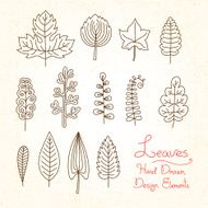 Vector set of leaves in cartoon style N2