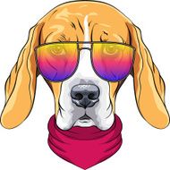 vector hipster serious dog Beagle in glasses