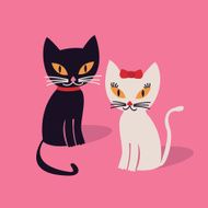 cats N34