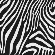 Seamless vector background with Zebra skin N2