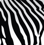 Zebra Pattern N4