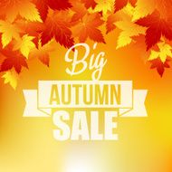 Autumn background with leaves N14