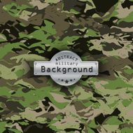 Camouflage military pattern background Vector illustration EPS10 N7