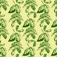 Seamless floral hand-drawn pattern leaf background Retro pattern with