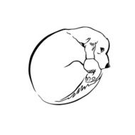 Sketch of puppy