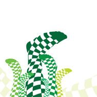 Green Checkered Socks Design