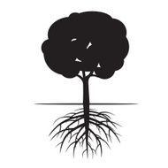 Tree and Roots Vector Illustration N2