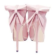 picture of women shoe on white background vector eps10 illustration