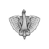 The head of an elephant N2