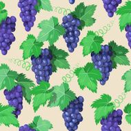 Seamless vine N2