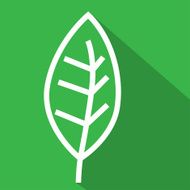 Line Leaf Flat Icon