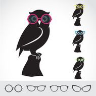 Vector images of owl and glasses on white background