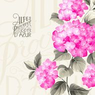 Purple flower hydrangea N3