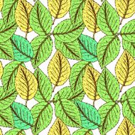 Sketch leaves in vintage style