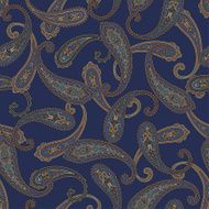 Paisley illustration pattern N35
