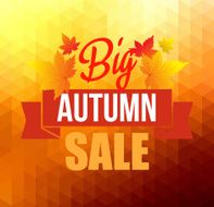 Autumn background with leaves N15