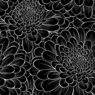 background with monochrome black and white flowers chrysanthemum