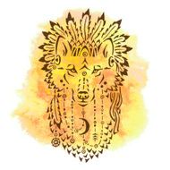 Wolf in war bonnet hand drawn animal illustration