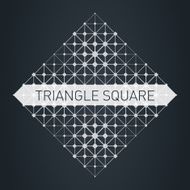 The low-poly mesh Modern stylish logo Design element