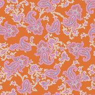 Paisley pattern N54