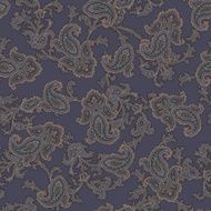 Paisley pattern N58