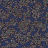 Paisley illustration pattern N36