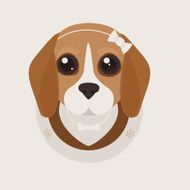beagle puppy