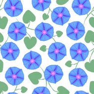Seamless with flower Ipomoea morning glory Vector illustration without transparency N2