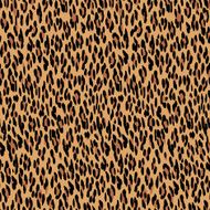 Seamless leopard pattern Animal skin texture Natural fur print