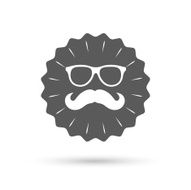 Mustache and Glasses sign icon Hipster symbol N3