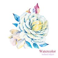 Watercolor vector flowers N3