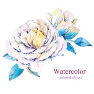 Watercolor vector flowers N4