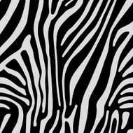 Seamless vector background with Zebra skin N3