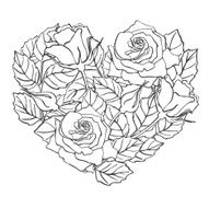 Vector line rose heart shape illustration