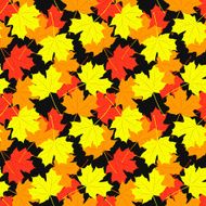 Seamless pattern of maple leaves illustration