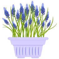 Vector illustration with flower pot in flat style