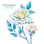 Watercolor vector flowers N5