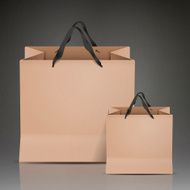 kraft paper bags set
