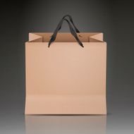 kraft paper bag N2