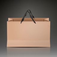 kraft paper bag N3