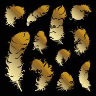Beautiful Vintage Feathers N2