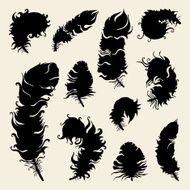 Beautiful Vintage Feathers N4