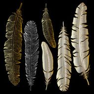 Beautiful Vintage Feathers N6