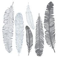 Beautiful Vintage Feathers N8