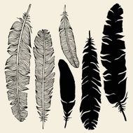 Beautiful Vintage Feathers N9