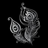 Beautiful peacock feathers N2