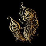 Beautiful peacock feathers N3