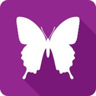 Butterfly Icon Silhouette
