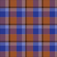 blue brown plaid tartan pattern vector N2